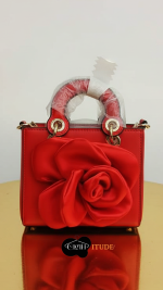 ALDO Red Mini satchel Bag