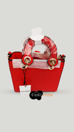 ALDO Red Mini satchel Bag - Image 2